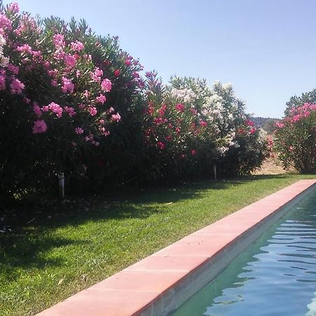 Vila Mas Figueres Marsá Exteriér fotografie